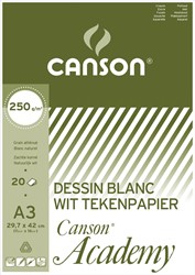 Canson papier à dessin Academy, 250 g, ft 29,7 x 42 cm, A3, bloc de 20 feuilles
