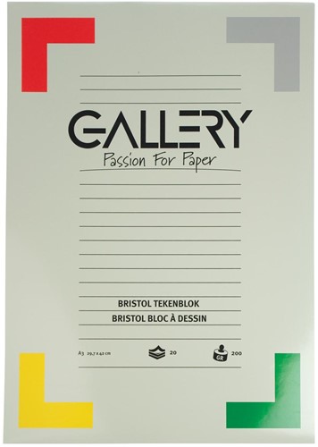 Gallery Bristol papier à dessin, 200 g, ft 29,7 x 42 cm, A3, bloc de 20 feuilles