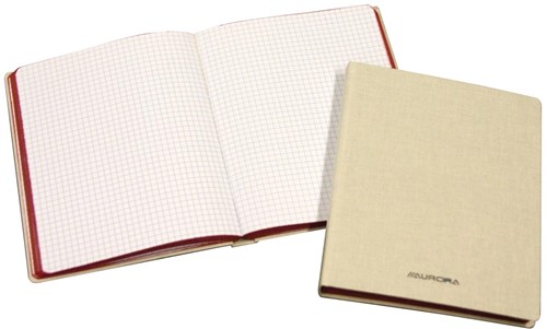 Copybook ft 14,5 x 22 cm, 384 pages-2