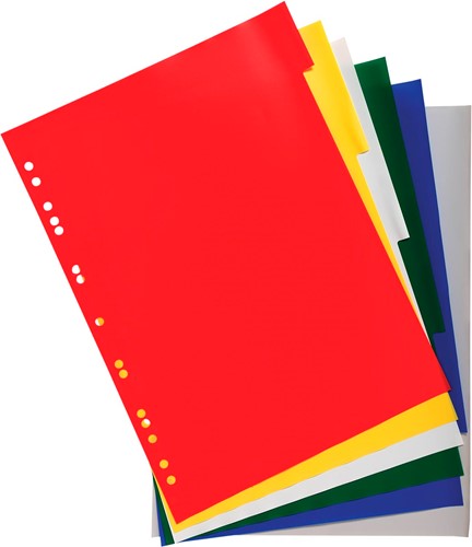 Exacompta intercalaires pour ft A4, en PP 12/100e, 6 onglets, couleurs assorties-2