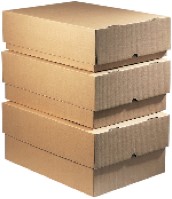 Doos PC10kraft BC 30,5x21,5x10,5cm