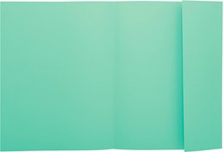 Exacompta chemise de classement Super 210, paquet de 50 pièces, vert