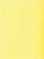 Exacompta chemise de classement Super 180, pour ft A4, paquet de 100 pièces, jaune-2