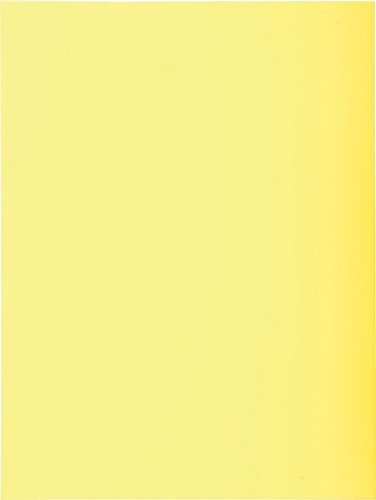 Exacompta chemise de classement Super 180, pour ft A4, paquet de 100 pièces, jaune-2