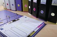 OXFORD MyColour intercalaires, format A4, en PP coloré, 11 trous, 10 onglets-2