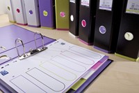 OXFORD MyColour intercalaires, format A4, en PP coloré, 11 trous, 6 onglets-2