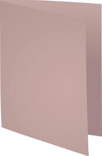 Exacompta chemise Forever 180, ft A4, paquet de 100, gris