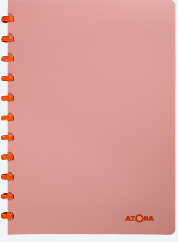Atoma Terra cahier, ft A4, 144 pages, quadrillé 5 mm-3