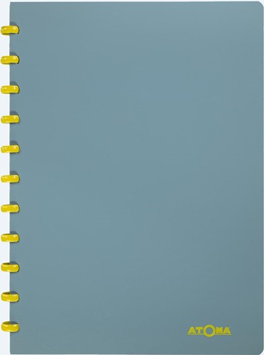 Atoma Terra cahier, ft A4, 144 pages, quadrillé 5 mm