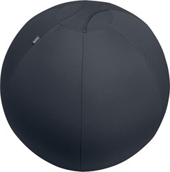 Leitz Ergo ballon d'assise active, système anti-roulement, 75 cm, gris