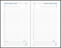 Aurora Daily FA211 Balacron, couleurs assorties, 2027-1