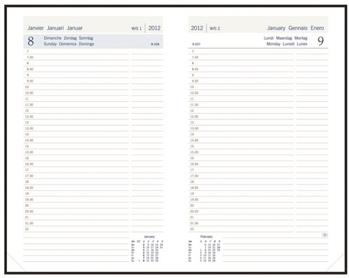 Aurora Daily FA211 Balacron, couleurs assorties, 2027-2