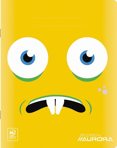 Splendid cahier, 72 pages, ft 16,5 x 21 cm, quadrillé 5 mm-2